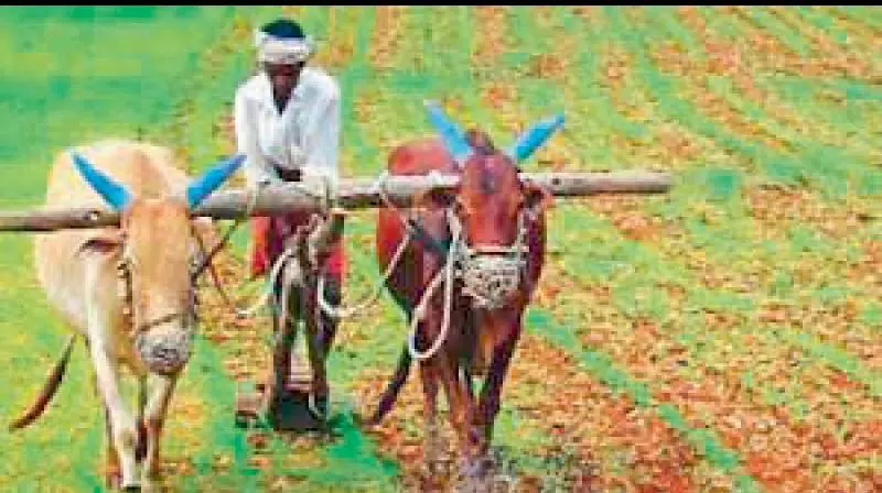 State Government Says 93% Farmers Getting Rythu Bandhu
