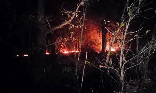 Massive fire in Mahadevpur forest of Bhupalpally
