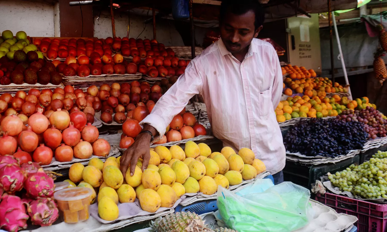 Mango Mania Hits Visakhapatnam Mango Mania Hits Visakhapatnam