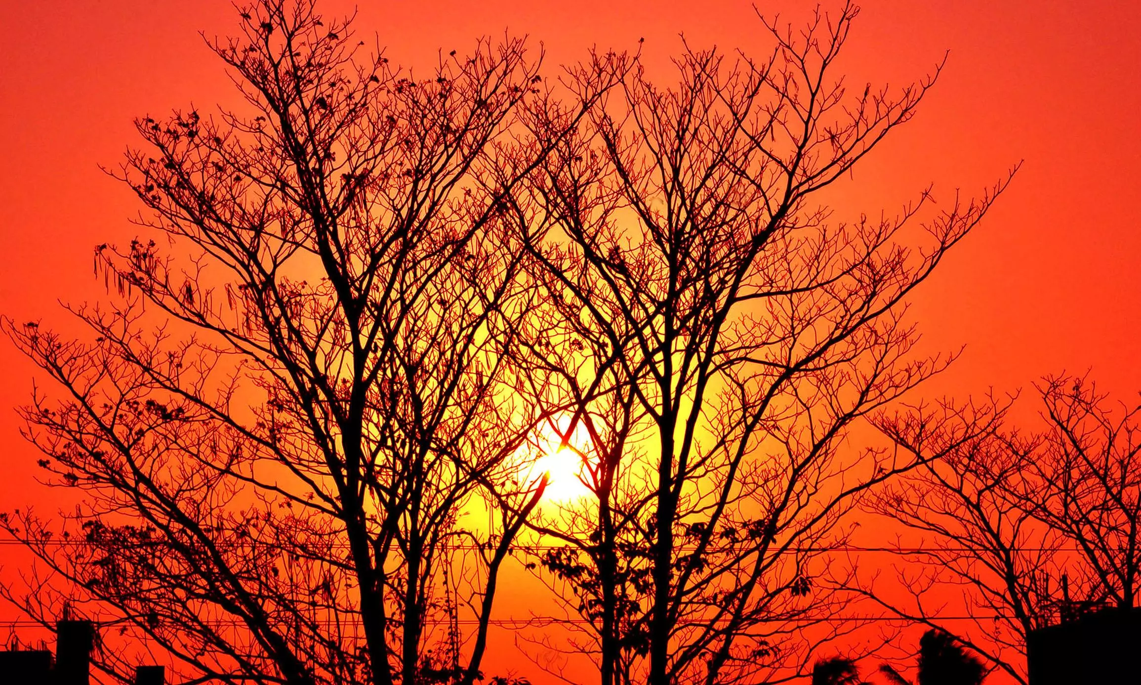 Expert Shares Action Plan to Mitigate Ill Effects of Heat Wave