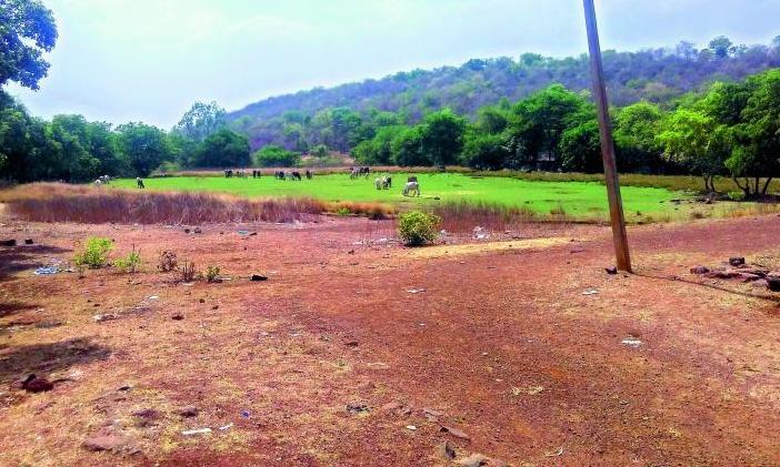 Land Registration Goes Digital: LP Numbers Take Over in Re-surveyed ...