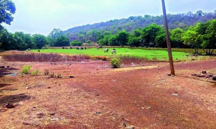 Land Registration Goes Digital: LP Numbers Take Over in Re-surveyed Villages
