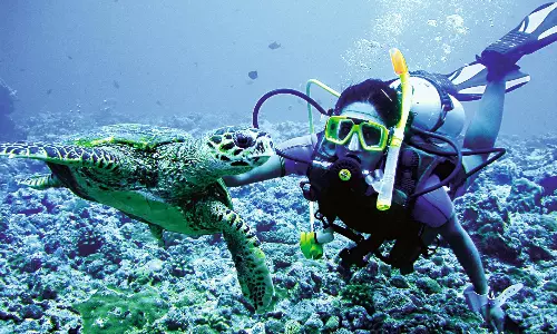 Underwater Bubbles Help To End Troubles