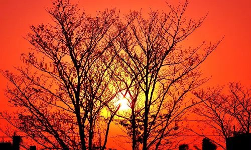 Expert Shares Action Plan to Mitigate Ill Effects of Heat Wave