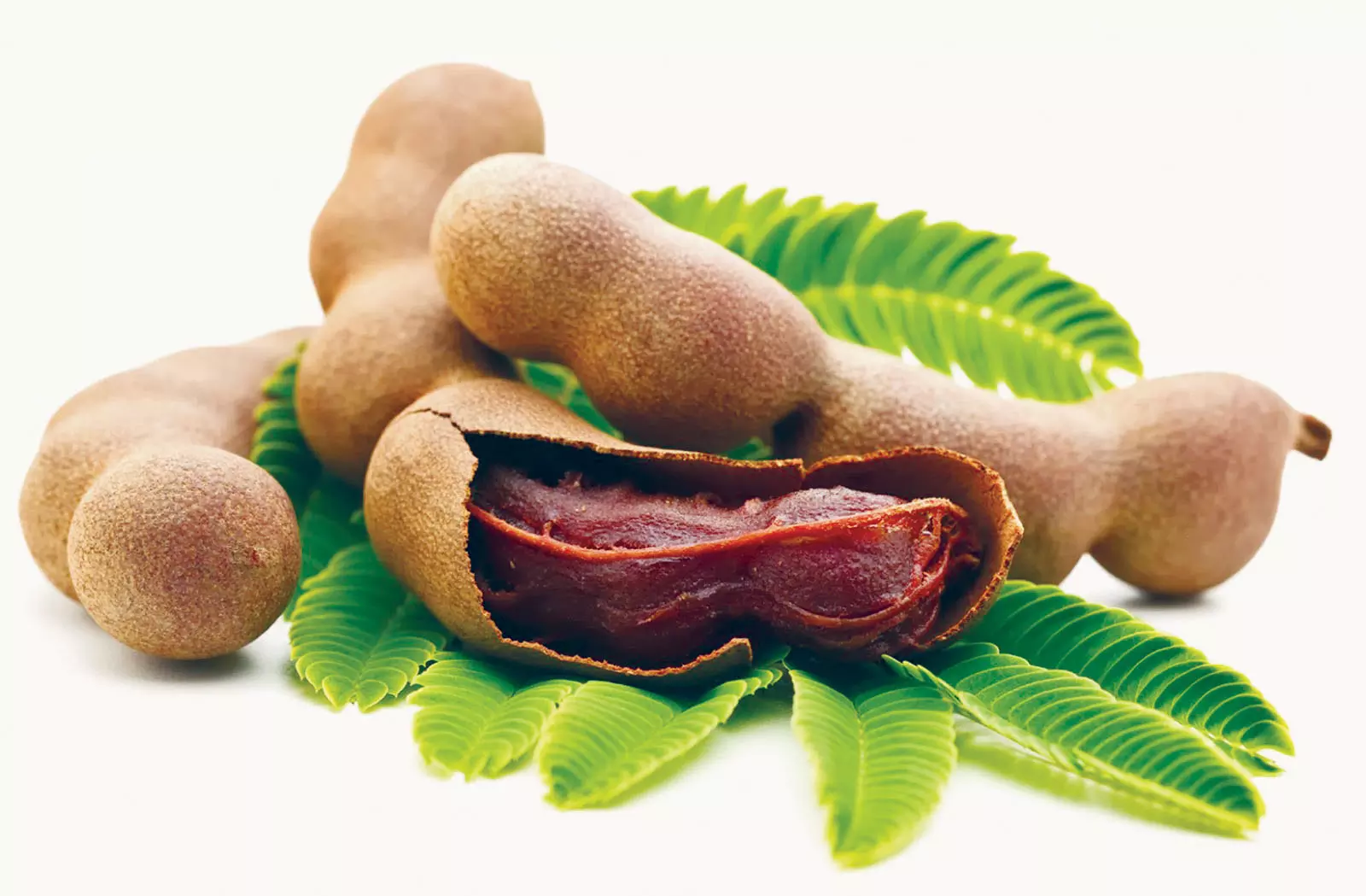 With No MSP, Tamarind Selling for Rs 40 a Kg in Paderu Weekly Market