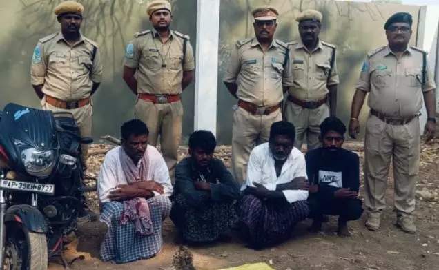 Nandyal: 4 Poachers Arrested for Electrocuting Bear