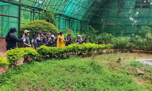 Visakhapatnam Zoo Roars with Fun for National Zoo Lovers Day