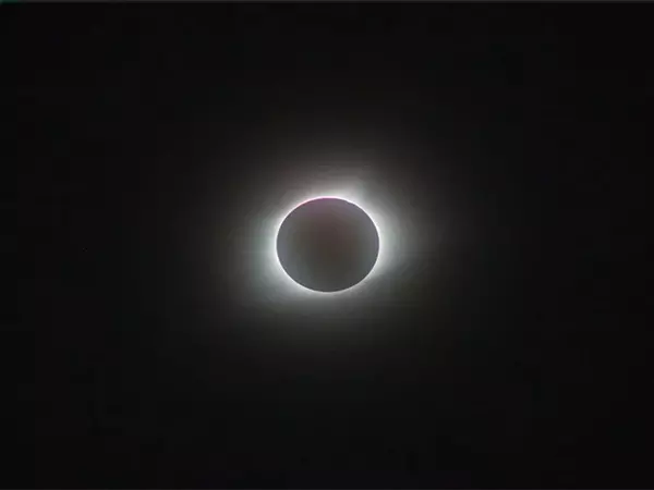 Total Solar Eclipse 2024: Google marks eclipse with special animation