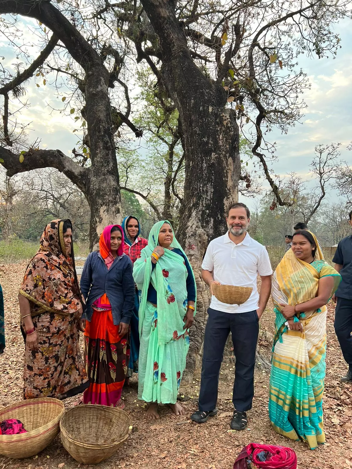Rahul Gandhi Hangs Out With Tribals In MP Village, Congress Leader Goes With Adivasi Women To Collect ‘Mahua’ Rahul Gandhi Hangs Out With Tribals In MP Village, Congress Leader Goes With Adivasi Women To Collect ‘Mahua’