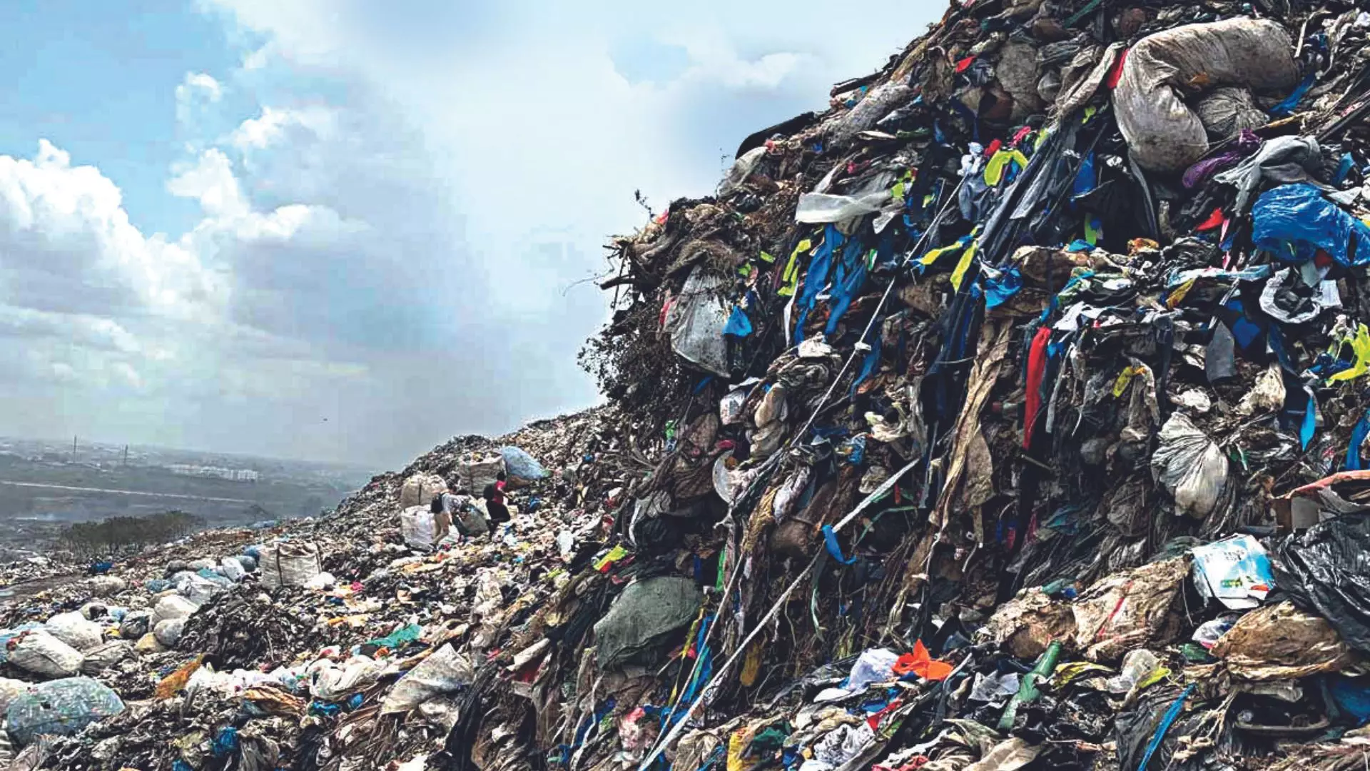 Irresistible Waste-Line Collection