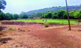 Land Dispute Turns Tense in Kurnool, Gun Display Alleged