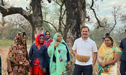 Rahul Gandhi Hangs Out With Tribals In MP Village, Congress Leader Goes With Adivasi Women To Collect ‘Mahua’