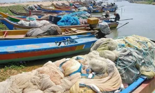 AP Bans Fishing in Sea from April 15 to Promote Breeding