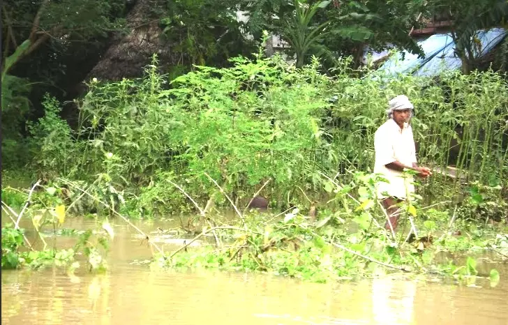 Tuesday’s unseasonal rains wreak havoc in Telangana; 10 killed