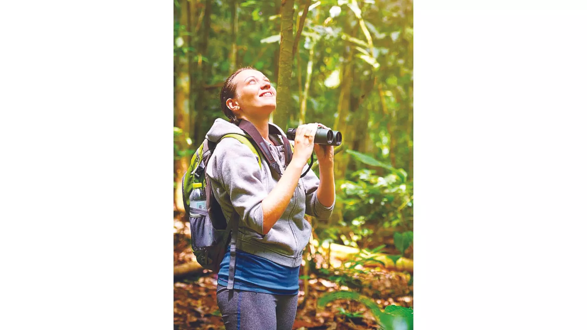 Get Set For Hobbidays This Year