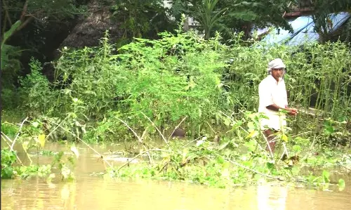 Tuesday’s unseasonal rains wreak havoc in Telangana; 10 killed