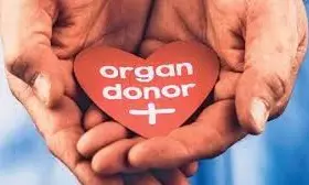 Braindead Womans Organs Offer New Life to Four