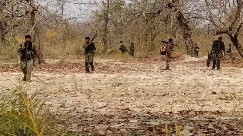 Chhattisgarh: Kanker encounter video surfaces, security forces breach Naxal-den Abujhmad for first time