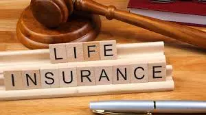 Life Insurers Grew 2%, Non Life 13% in FY24