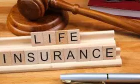 Life Insurers Grew 2%, Non Life 13% in FY24