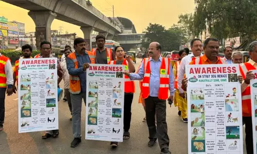 GHMC Kukatpally Zone Initiates Water Bowl Setup for Stray Dogs