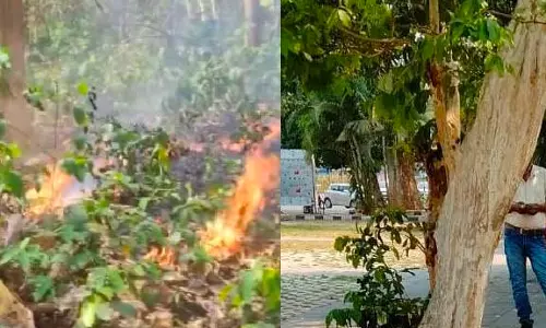 Heatwave impact: Odisha govt announces early summer vacation from April 25