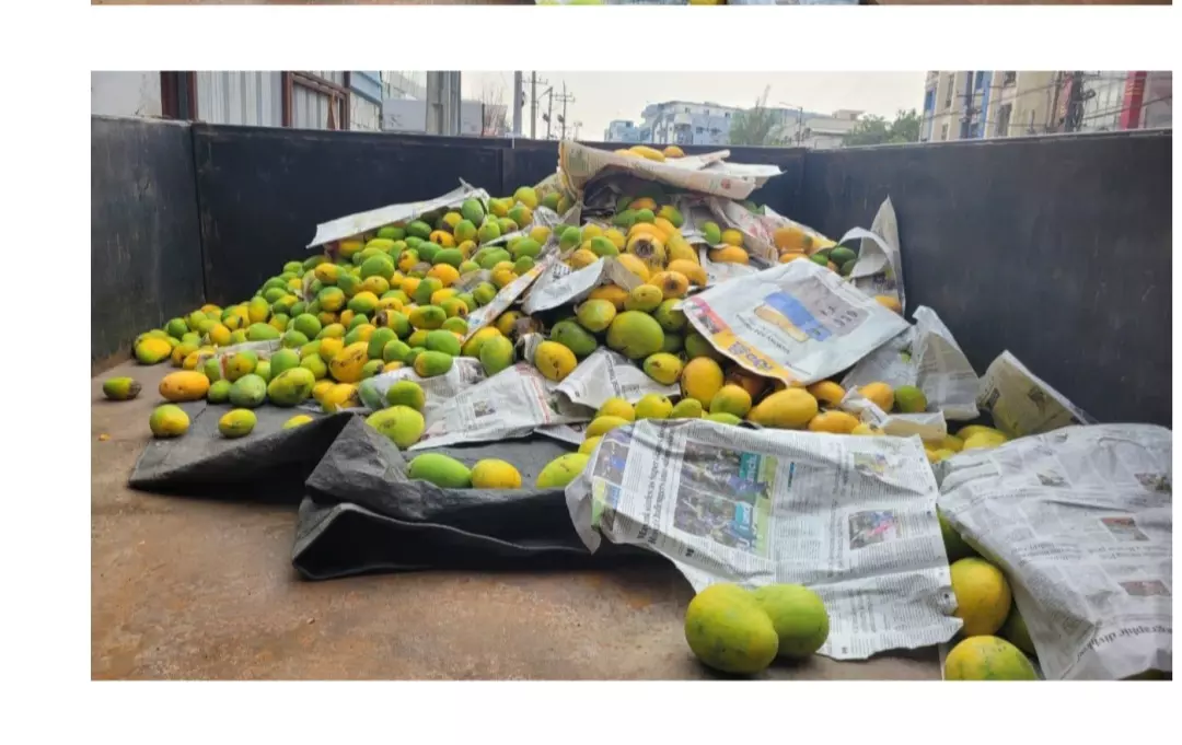 Hyderabad: FSSAI Seizes Mangoes Worth Rs. 55,000 for Artificial Ripening Methods Hyderabad: FSSAI Seizes Mangoes Worth Rs. 55,000 for Artificial Ripening Methods