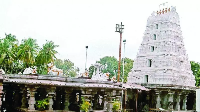 Kurnool: Kumbhotsavam Organised at Srisailam Kurnool: Kumbhotsavam Organised at Srisailam