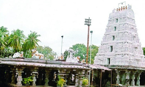 Kurnool: Kumbhotsavam Organised at Srisailam