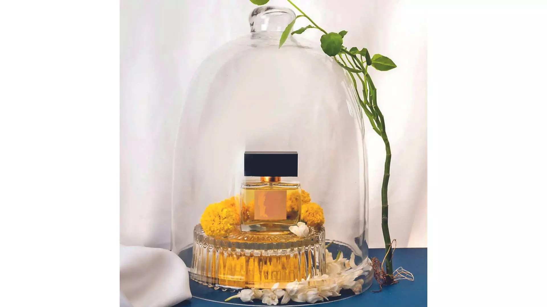 Scents Of Nature Scents Of Nature