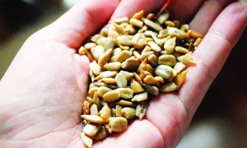 12 Held With Spurious Seeds