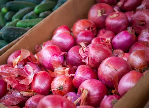 Export Of Around 1 Lakh MT Of Onions Allowed