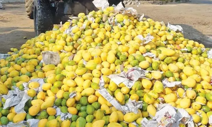 Warehouse Raided, Fruit Ripening Seized