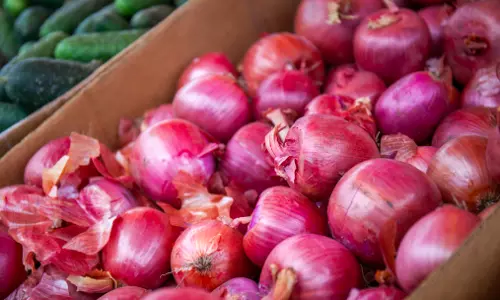 Export Of Around 1 Lakh MT Of Onions Allowed