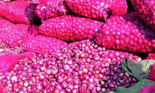 Kurnool Market Yard Starts Selling Area Onions At Rs 2 per kg Kurnool Market Yard Starts Selling Area Onions At Rs 2 per kg
