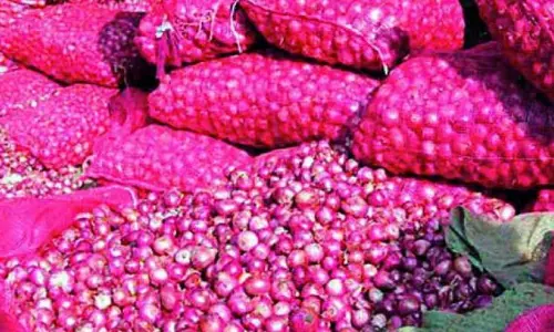 1,600 MT onion to arrive Delhi by Oct. 20; Price to soften