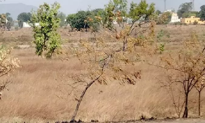 Baripada in Odisha records all-time high 46.4° C; heatwave to continue till mid May Baripada in Odisha records all-time high 46.4° C; heatwave to continue till mid May