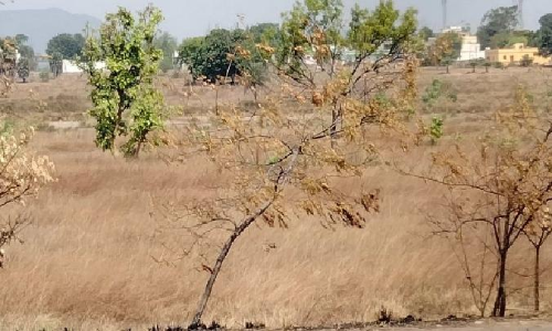Baripada in Odisha records all-time high 46.4° C; heatwave to continue till mid May