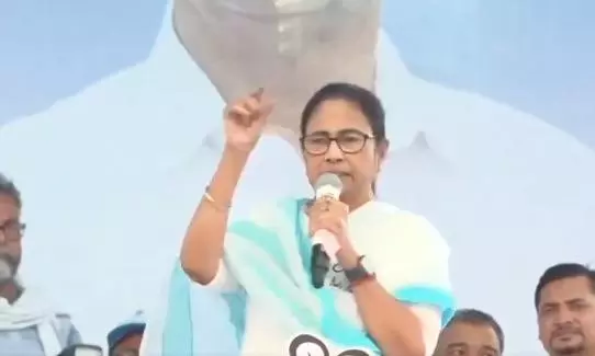 Didi: LS Voting Suddenly Rose Where BJP Lag