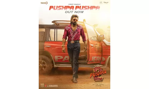 Pushpa 2 song hails return of Pushpa Raj