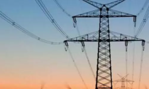 Man and Bull Electrocuted in Kurnool Man and Bull Electrocuted in Kurnool