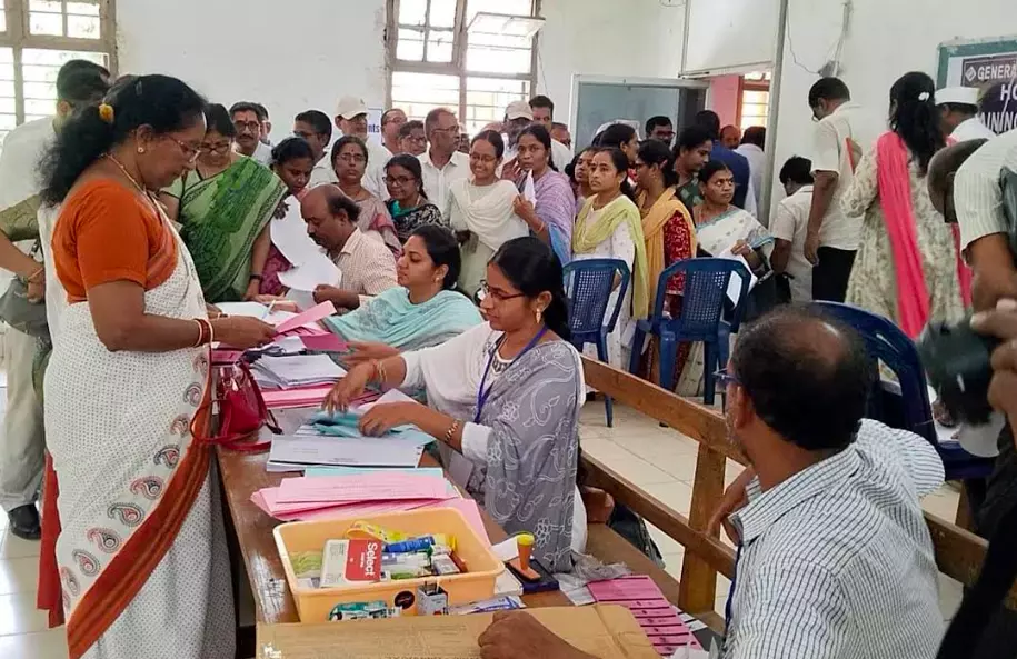 Election 2024: Political Campaigns and Early Votes