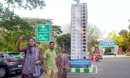 Election 2024: Political Campaigns and Early Votes