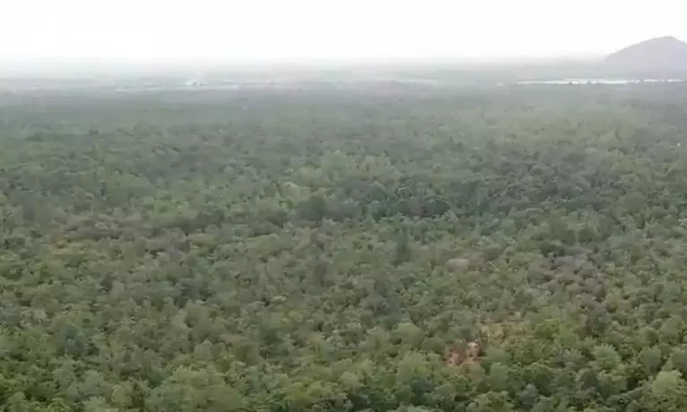 Guthikoya tribe people from Chhattisgarh prevented from clearing forest region in Mulugu