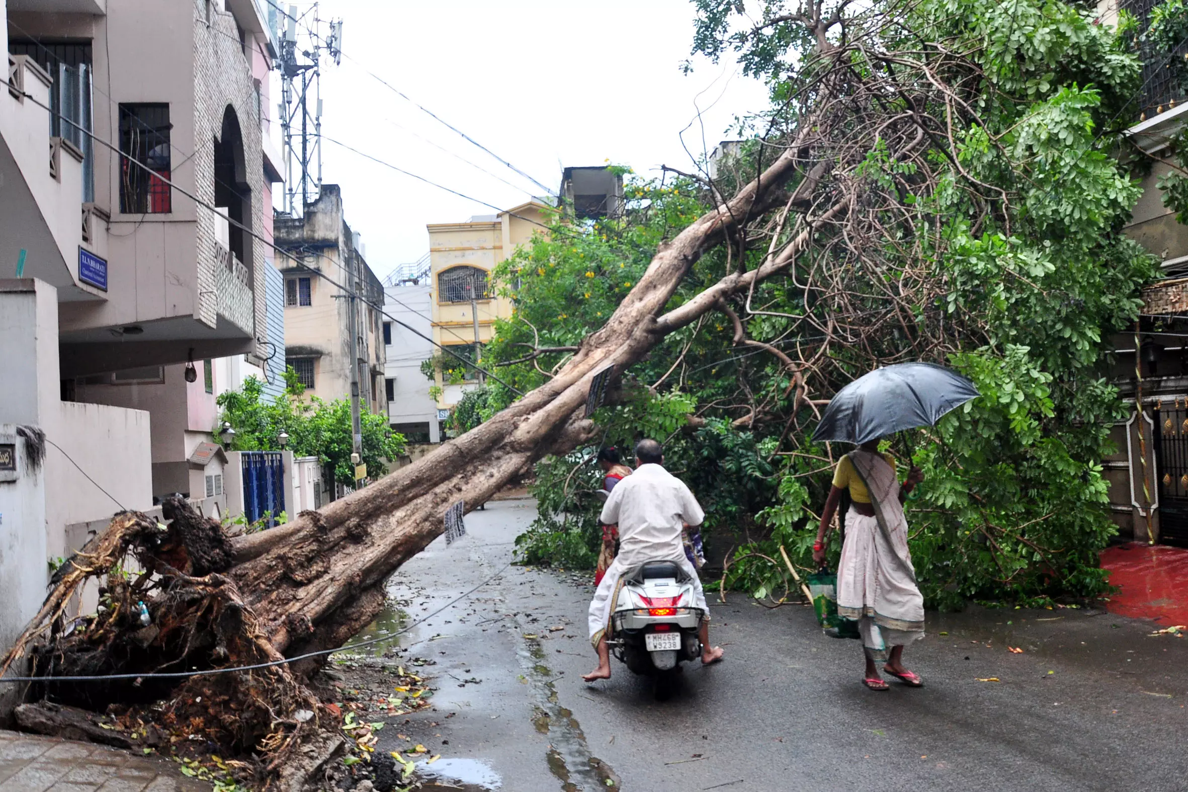 Rains Lash AP, Lightning Kills 3