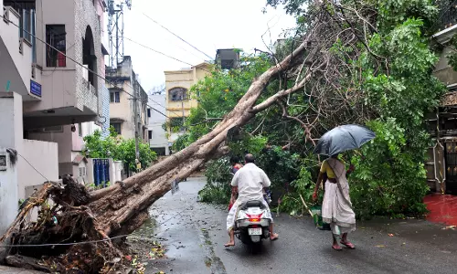 Rains Lash AP, Lightning Kills 3