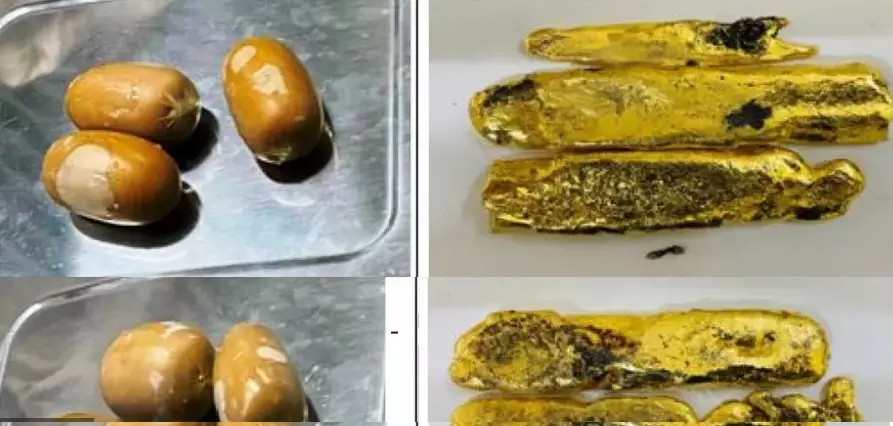 DRI sleuths seize 3.77 gold, stunned at modus operandi of traffickers DRI sleuths seize 3.77 gold, stunned at modus operandi of traffickers