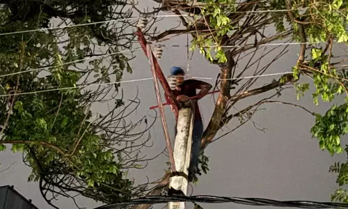 Energy department restores power supply after six and a half hours struggle