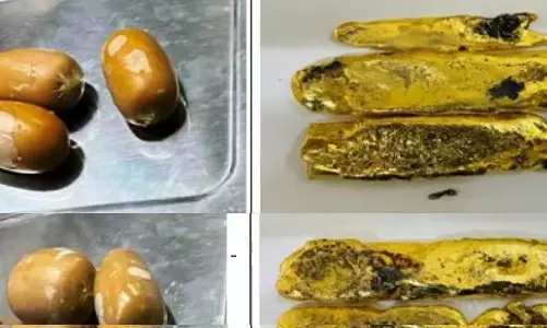 DRI sleuths seize 3.77 gold, stunned at modus operandi of traffickers