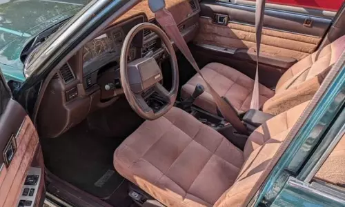 Caution! Study reveals dangers of car travel